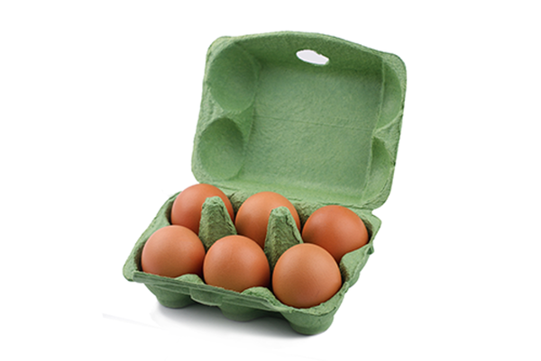 Eier Bioland 6er, Größe M