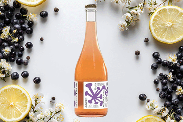 Kombucha Juniper Pet Nat Alkoholfrei 0,75l